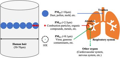 The Impact of PM2.5 on the Host Defense of Respiratory System